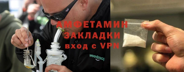 прущие грибы Сосновый Бор