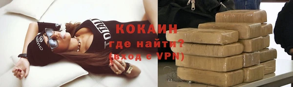 прущие грибы Сосновый Бор