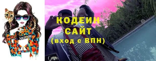 прущие грибы Сосновый Бор