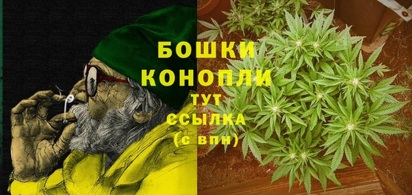 прущие грибы Сосновый Бор