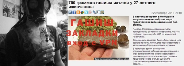 прущие грибы Сосновый Бор