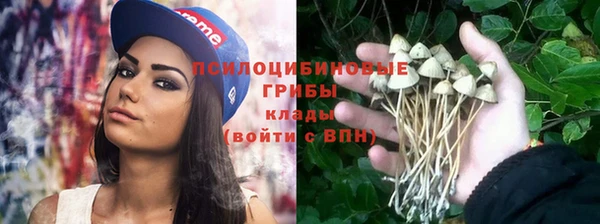 прущие крисы Балабаново